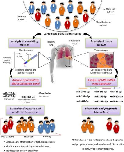 mesothelioma asbestkanker grafiek(2)