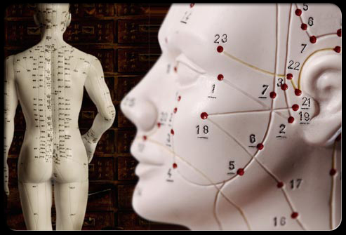 acupuncture-s2-photo-of-pressure-points(2)