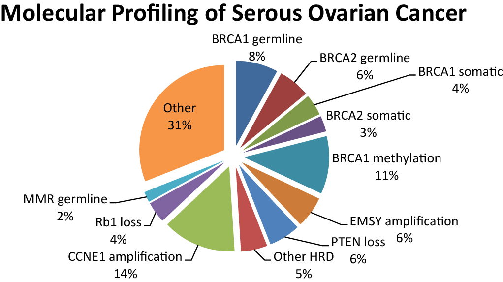 eierstokkanker moleculaire afwijkingen